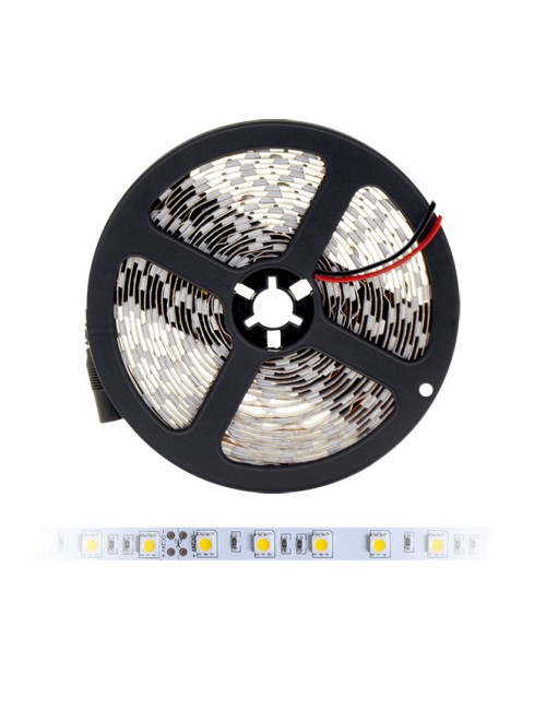 Fita LED DISCOVERY 24Vdc 13.5W/m 60LED/m 4200K 5m/rolo